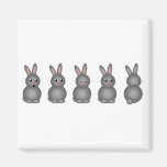 Gray Bunnies Refrigerator Magnet