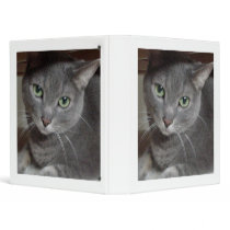 Gray Cat binders