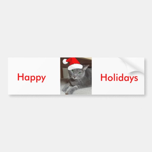 Gray Cat Bumper Stickers