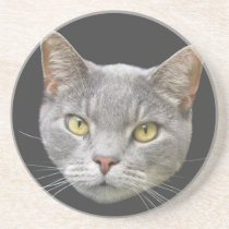 Gray Cat coasters