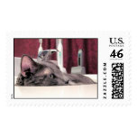Gray Cat in Sink Stamps