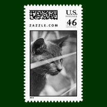 Gray Cat in the Grass stamps