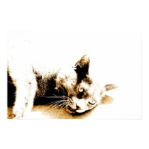 Gray cat poster posters