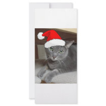 Gray Cat Customized Rack Card