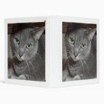 Gray Cat Russian Blue 3 Ring Binder