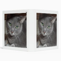 Gray Cat Russian Blue 3 Ring Binder