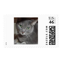 Gray Cat Russian Blue Stamp
