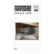 Gray Cat/Russian Blue Stamp