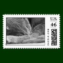 Gray Cat Sleeping postage