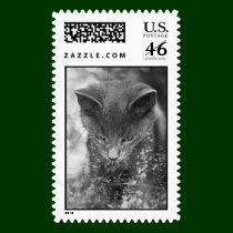 Gray Cat Stalking stamps