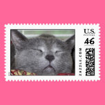 Gray Cat stamp 1
