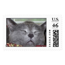 Gray Cat stamp 1 by sallyharrison Gray Cat stamp 1
