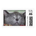 Gray Cat stamp 1