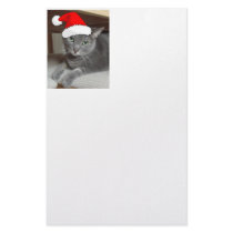 Gray Cat stationery
