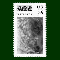 Gray Cat Watching stamps