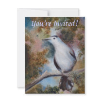 Gray Catbird Invite