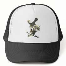 Gray Catbird, John Audubon Mesh Hat