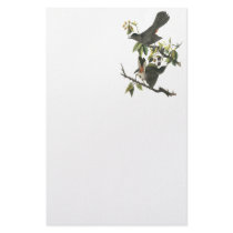 Gray Catbird, John Audubon Personalized Stationery