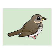 Gray-cheeked Thrush Post Cards