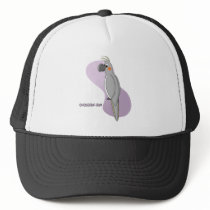 Gray Cockatiel Hen Hat