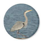 Gray Crane Fridge Magnets Gray Crane Fridge Magnets