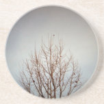 Gray Day Coasters