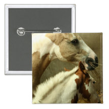 Gray Eventing Horse Button