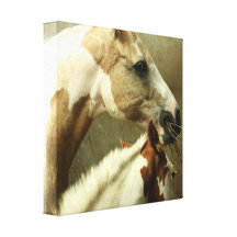 Gray Eventing Horse Canvas Print