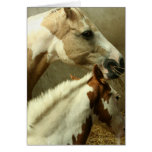 Gray Eventing Horse Greeting Card