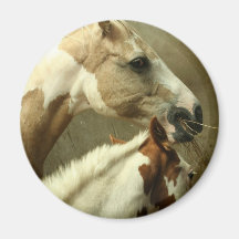 Gray Eventing Horse Magnet