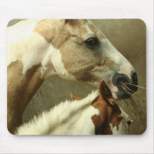 Gray Eventing Horse Mouse Pad