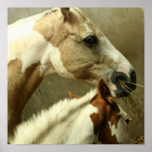 Gray Eventing Horse Poster