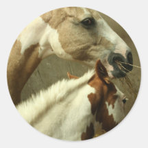 Gray Eventing Horse Stickers