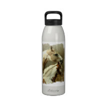 Gray Eventing Horse Water Bottle