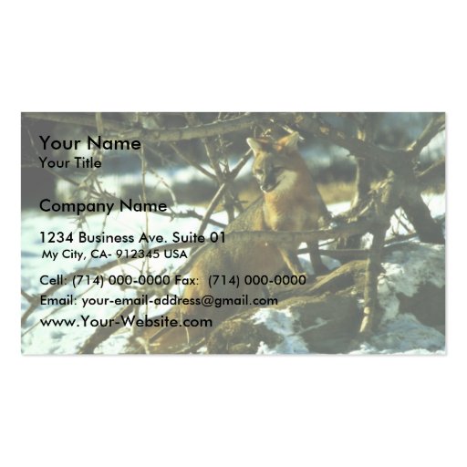 Gray Fox Business Card (front side)