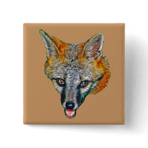 Gray Fox Drawing buttons by kphotos Gray Fox Drawing buttons
