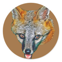 Gray Fox Drawing stickers by kphotos Gray Fox Drawing stickers