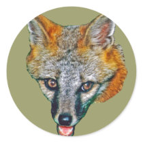 Gray Fox Drawing stickers by kphotos Gray Fox Drawing stickers