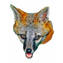 Gray Fox Kids T-Shirt