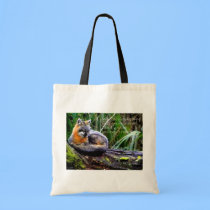 GRAY FOX SLEEPING bags
