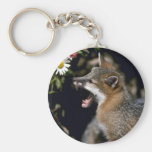 Gray Fox-young kit Key Chain