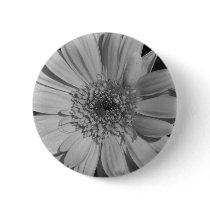 Gray Gerbera Button