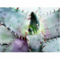 Gray Green Cactus Like Plant photo sculptures