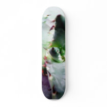 Gray Green Cactus Like Plant skateboards by lifesphere Gray Green Cactus Like Plant skateboards