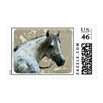 Gray Horse Head Stamps