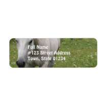 Gray Horse  Mailing Labels
