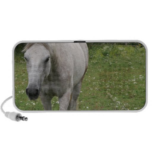 Gray Horse  Portable Speakers