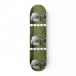 Gray Horse  Skateboard