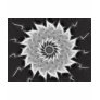 Gray Kaleidoscope Art 18