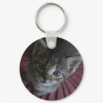 Gray Kitten Keychain by joanspouse